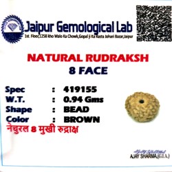 8 Mukhi Indonesia Rudraksha – Original & Certified Ashtmukhi Bead
